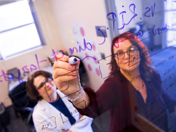 ɫӰ faculty writing on a clear glass with purple marker